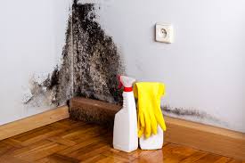 Best Dehumidification Services  in Minier, IL